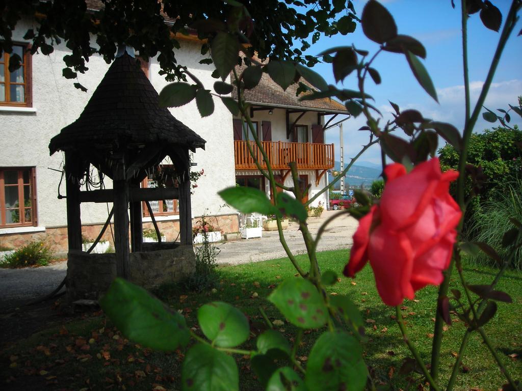 Villa La Bardeliere Corbelin Exterior foto